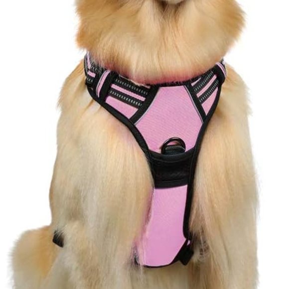 Rabbitgoo Dog Harness, No-Pull Pet Harness with 2 Leash Clips - Picture 3 of 8